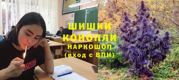 PSILOCYBIN Карталы