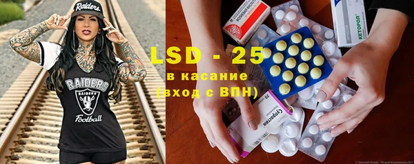 PSILOCYBIN Карталы