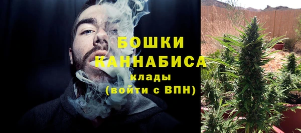 PSILOCYBIN Карталы