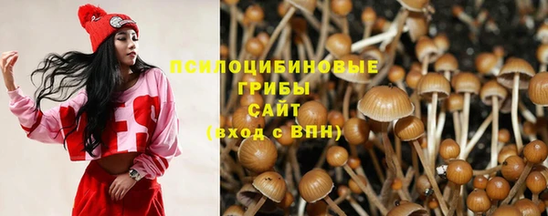 PSILOCYBIN Карталы